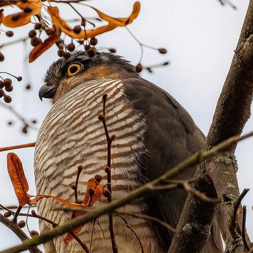 Photo #12772237