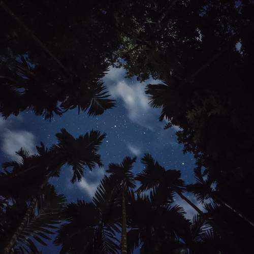 Photo #12772371