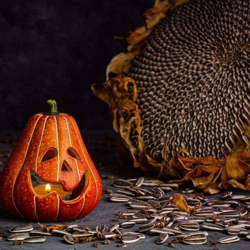 Photo #12772634