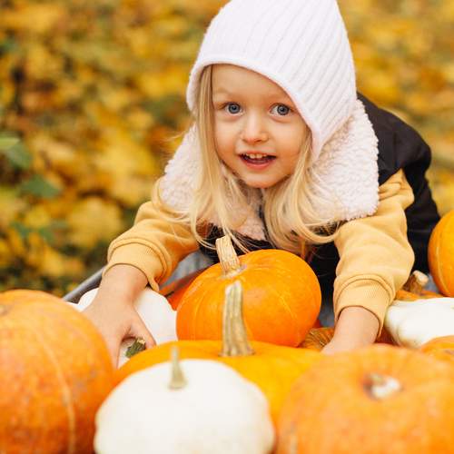 Photo #12772823