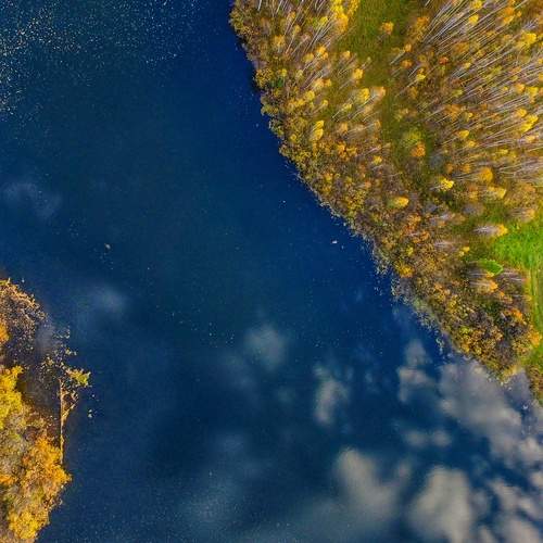 Photo #12772954