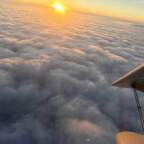 Photo #12773031