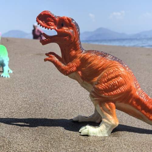 Photo #12773667