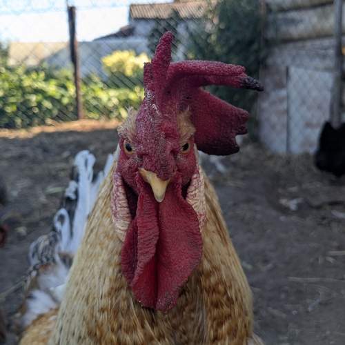 Photo #12773829