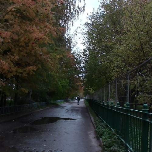 Photo #12773983