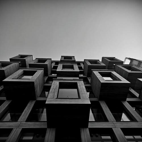 Новая Петроградка