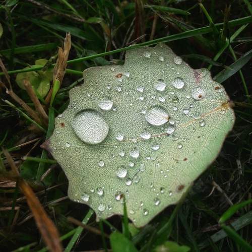 Photo #12774382
