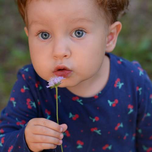 Photo #12774413