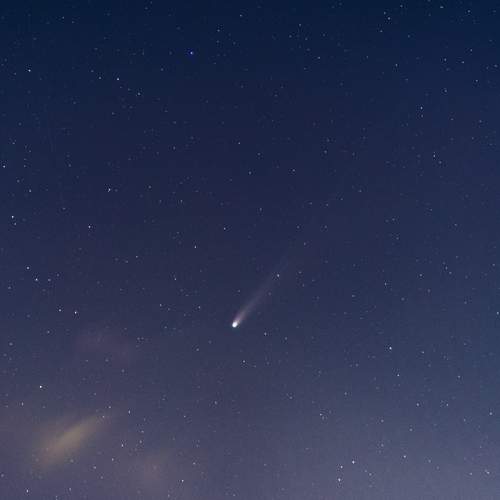 Photo #12774463