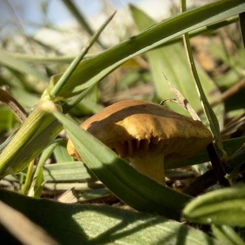 Photo #12774477