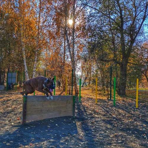 Photo #12774596