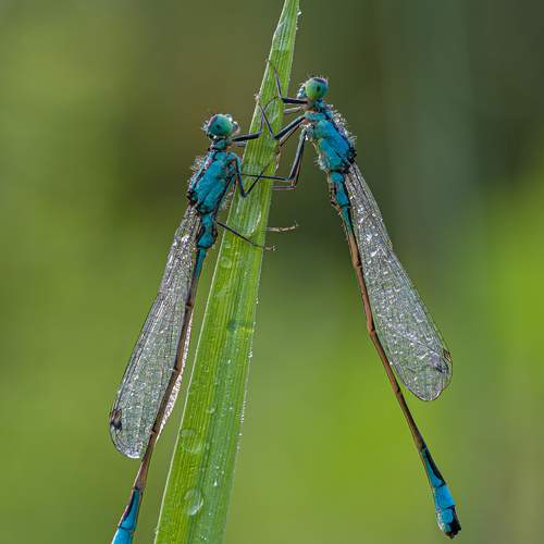 Photo #12774644