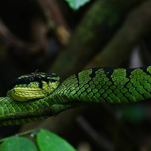 Photo #12775105