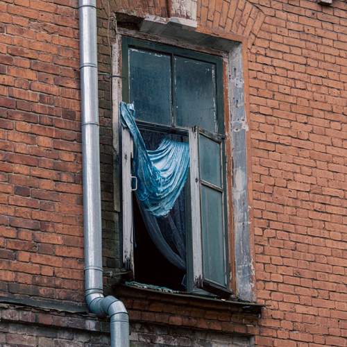 Photo #12775331