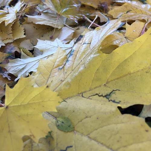 Photo #12775388