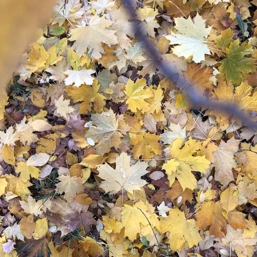 Photo #12775391