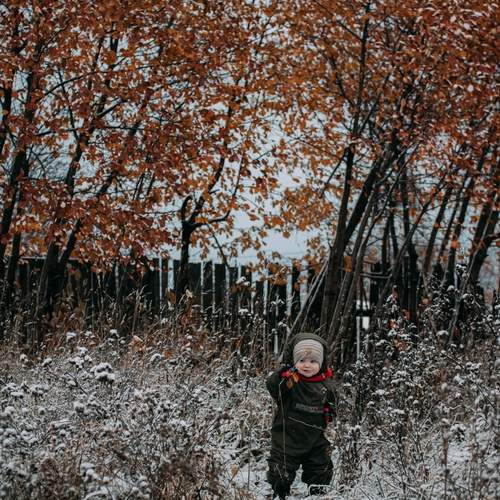 Photo #12775570