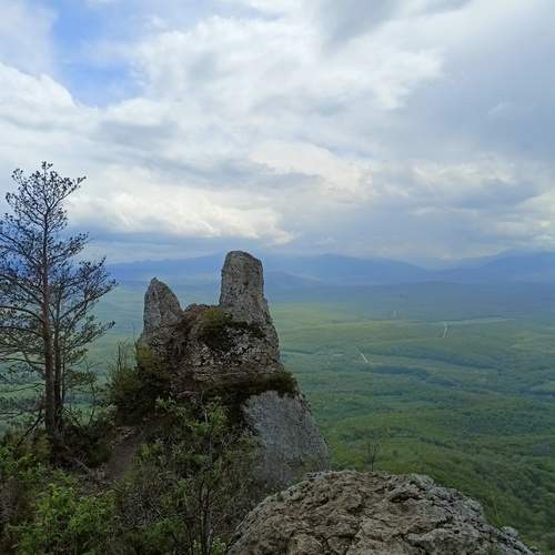 Photo #12776146