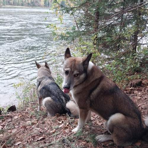 Photo #12776652