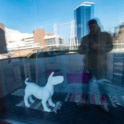 Photo #12776888