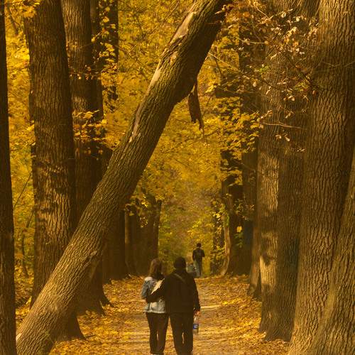 Photo #12776995