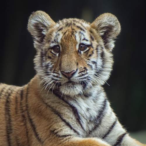 Photo #12777405