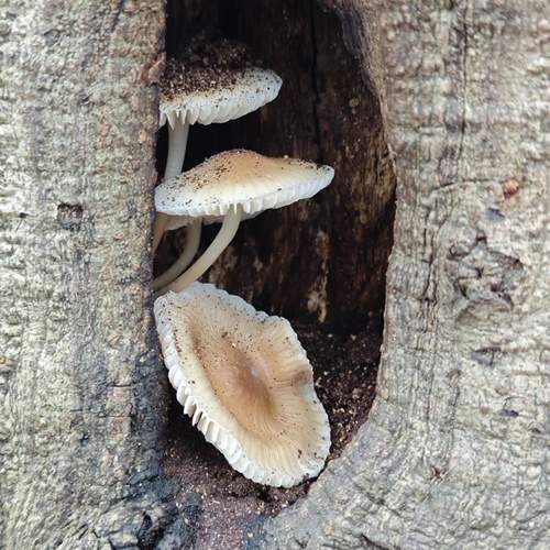 Photo #12777529