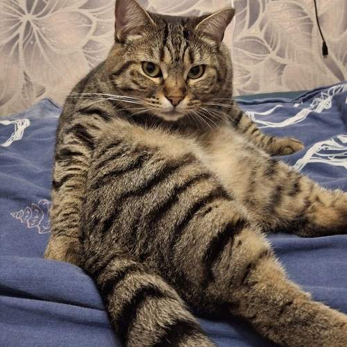 Photo #12777662