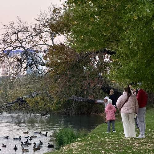 Photo #12777726