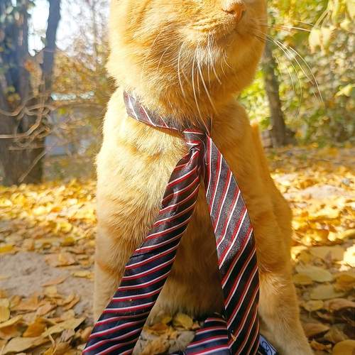 Photo #12777882