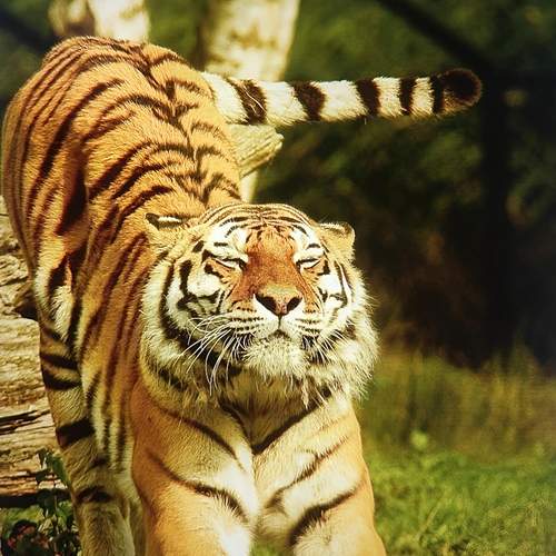 Photo #12777888