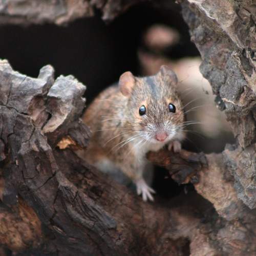 Photo #12778126