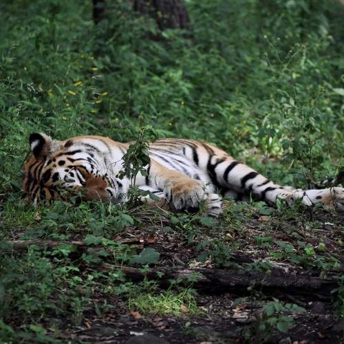 Photo #12778338