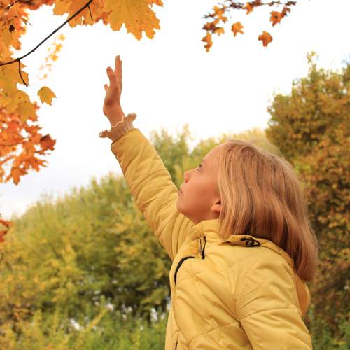 Photo #12778412