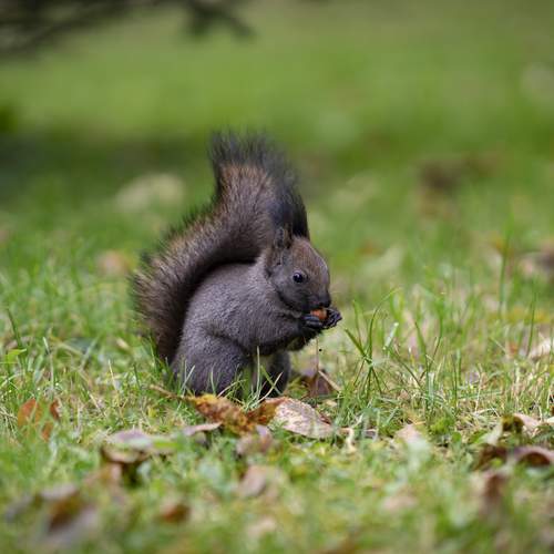 Photo #12778433