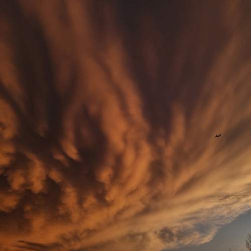 Photo #12778854