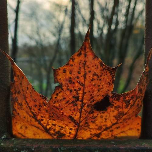 Photo #12778934