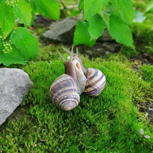 Photo #12779047