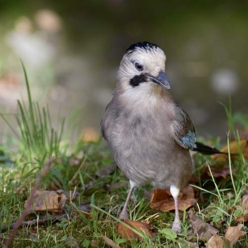 Photo #12779371