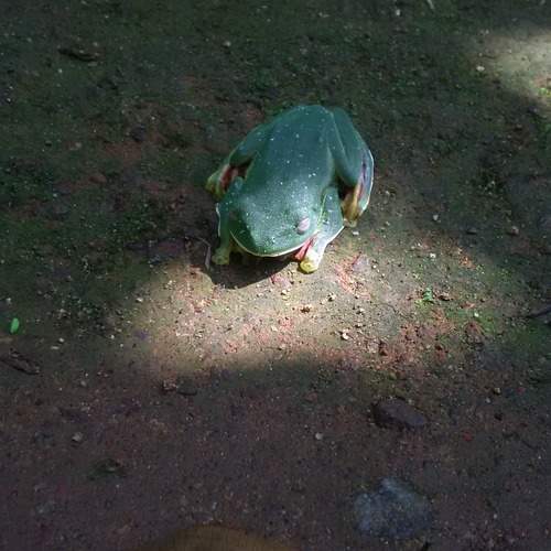 Photo #12779410