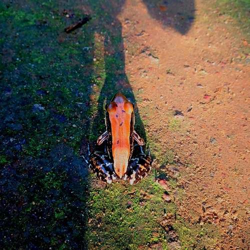 Photo #12779414