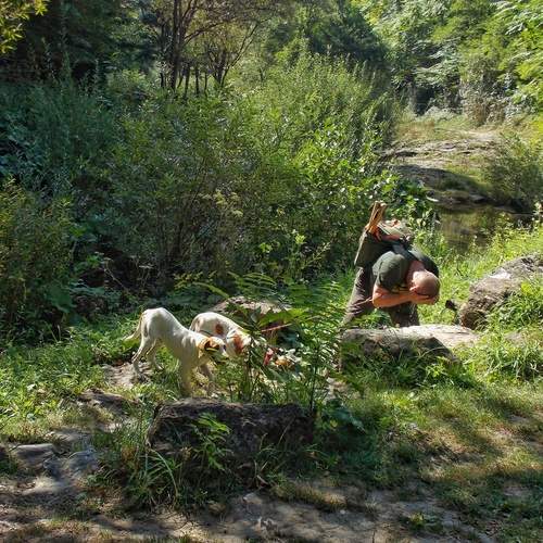 Photo #12779540