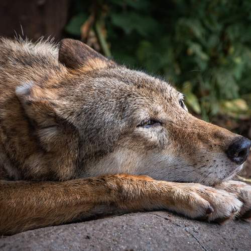 Photo #12779714