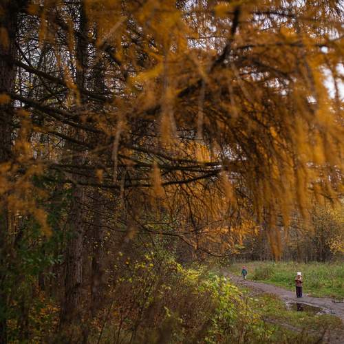 Photo #12779731