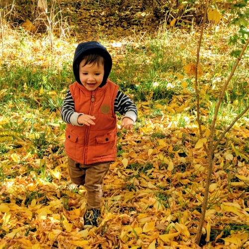Photo #12779788