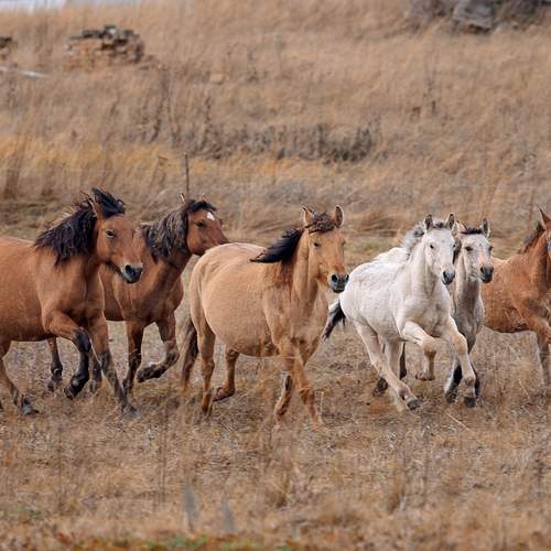 Фотография #12779889