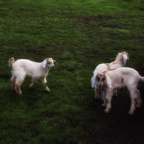 Photo #12779973