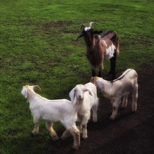 Photo #12779974