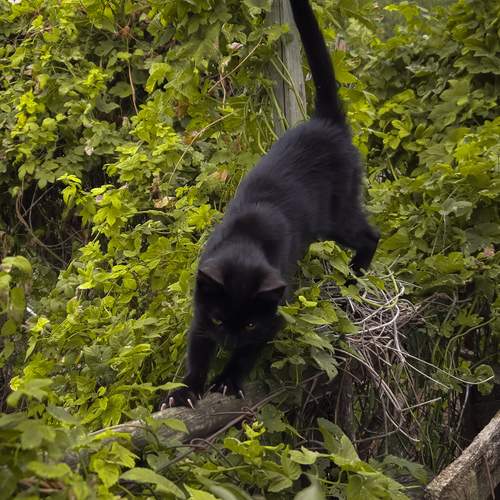 Photo #12779975