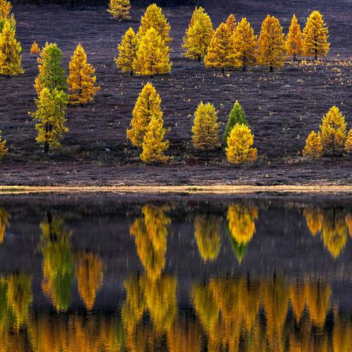 Photo #12780397